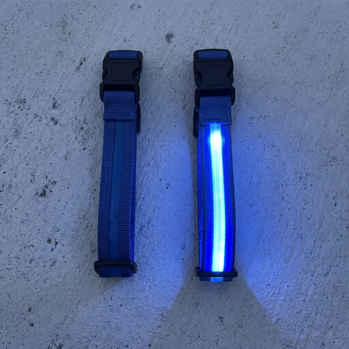 Two Obsidia LED collars side by side on concrete, one switched off and one glowing